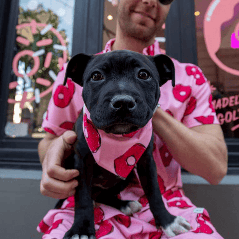 Christmas DOG Bandana "Aussie Christmas" - Milkmans Market Breakfast Shirts