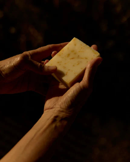 Shop the Bestsellers