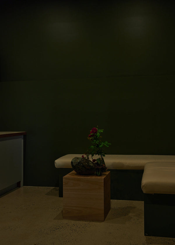 MediHerb Throat Spray - Herb Remedy