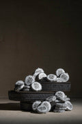 Solitude | Shou Puerh Tea | Biscuit - Milkmans Market Cloud Hidden
